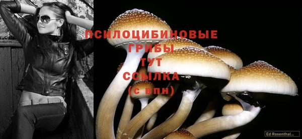 прущий лед Вяземский