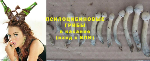 прущий лед Вяземский