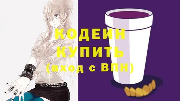 прущий лед Вяземский