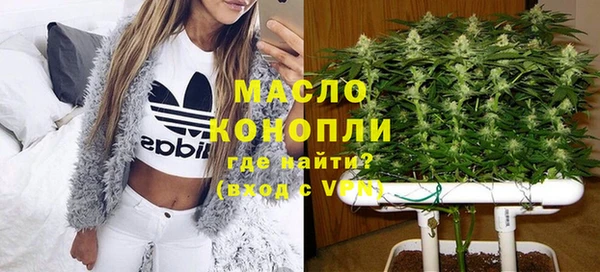 прущий лед Вяземский