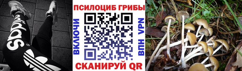 Галлюциногенные грибы Magic Shrooms  наркошоп  Игра 
